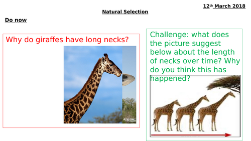 Natural selection Biology KS3