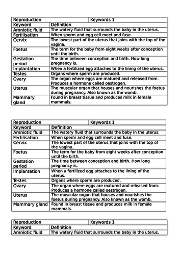 Keystage 3 Science Keyword - meanings and spellings