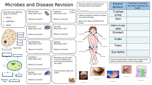 Yr 8 Microbes and Disease Revision Mat