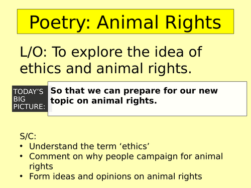 Animal Rights Poetry and Article Writing | Teaching Resources