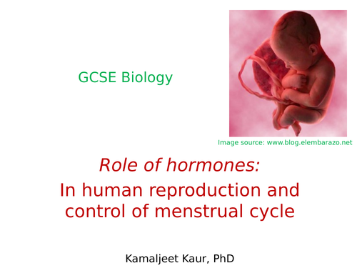 GCSE Biology: Human reproduction and menstrual cycle