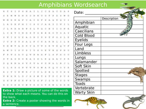 Amphibians Wordsearch Sheet Aniamsl Nature Starter Activity Keywords