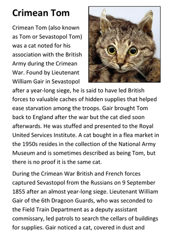 Crimean Tom Cat Handout