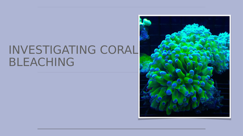 Investigating coral bleaching
