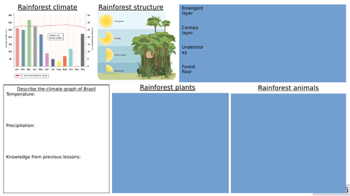 Edexcel B 9-1 GCSE - Rainforest structure, animals, plants, climate differentiated worksheets