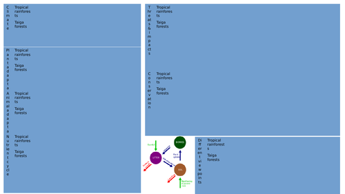 Edexcel B 9-1 GCSE - Rainforests and taigas revision page