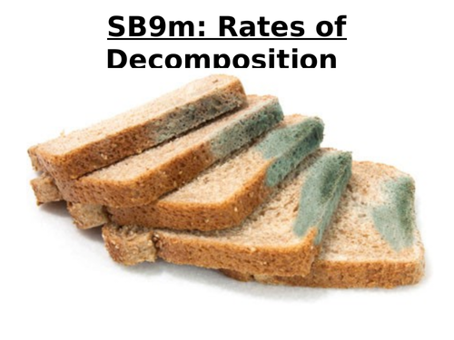 SB9m Rates of Decomposition