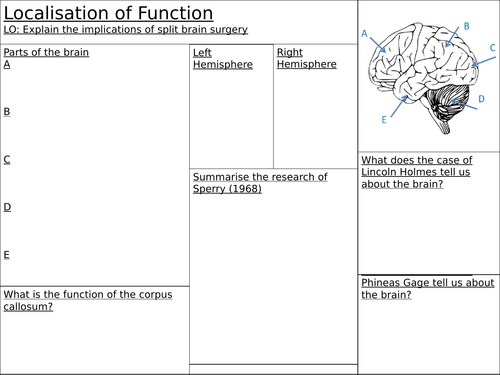 Localisation of Brain Function