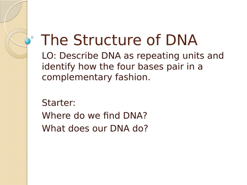 The Structure of DNA