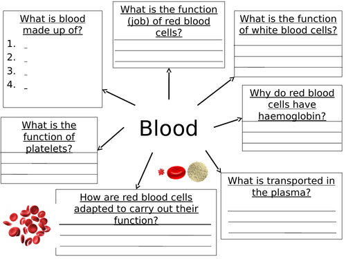Learning about Blood Activity Mat