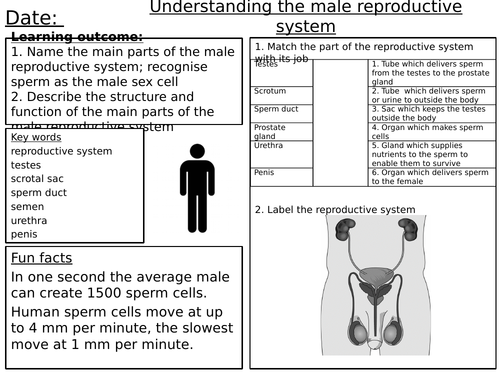 reproduction worksheets teaching resources