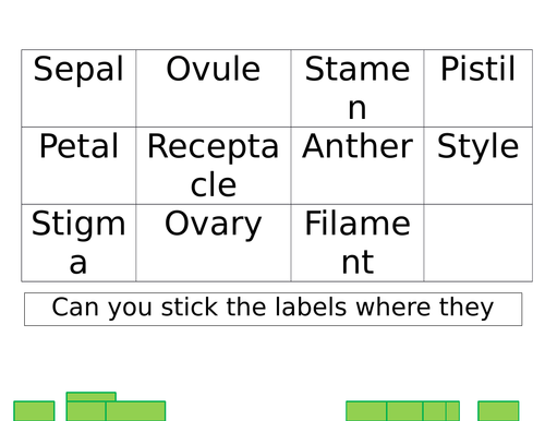 interactive display for plant parts