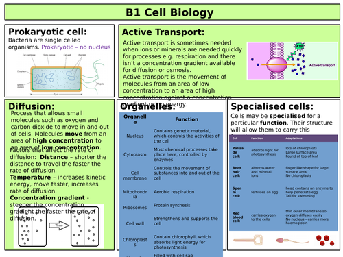 AQA combined Science Biology revision mats (complete course)