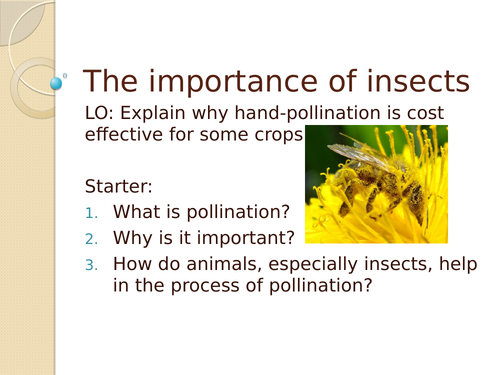 The importance of insects