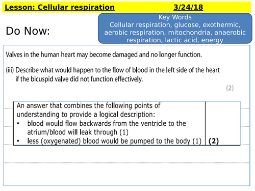 CB8d - cellular respiration