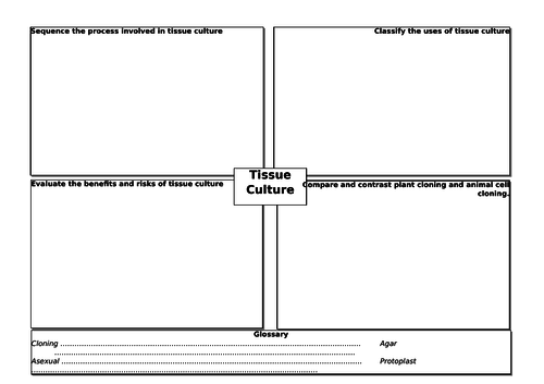 Tissue culture summary