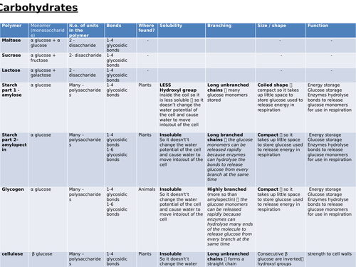 Summary Biological Molecules - Polymers - A Level OCR