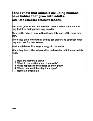 Science - Animals and babies