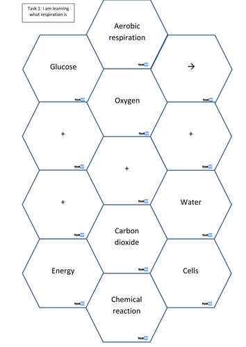 SOLO hexagons exercise respiration