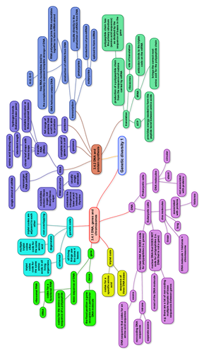 Genetic Diversity Mindmap ALevel NEW AQA