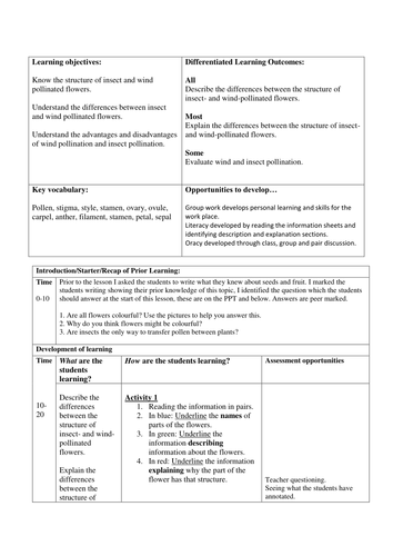 Pollination Literacy KS3