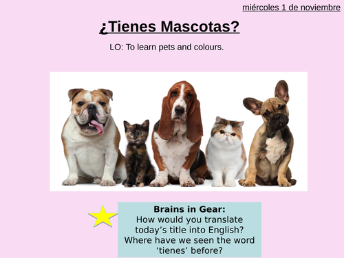 Viva 1 Module 1.5 - ¿Tienes mascotas?