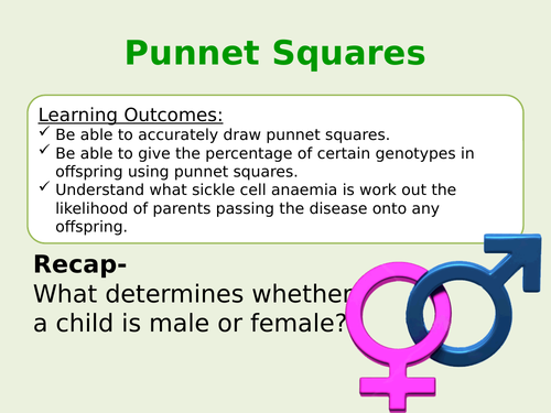 Superhero Punnet Squares