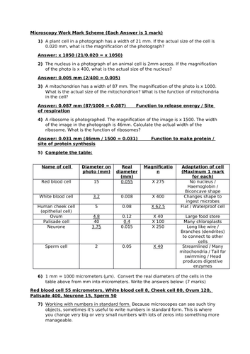 Microscopy Worksheet and Mark Scheme