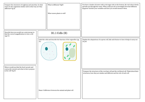 Revision mat: Activate 1 - B1 Cells