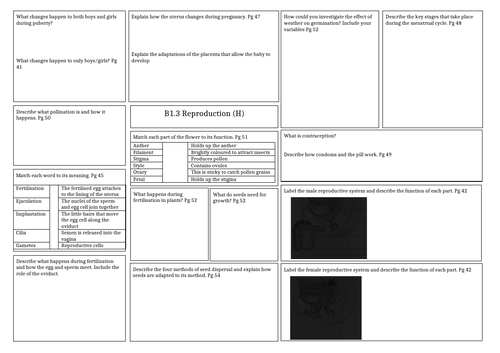 Revision mat: Activate 1 - Biology Reproduction