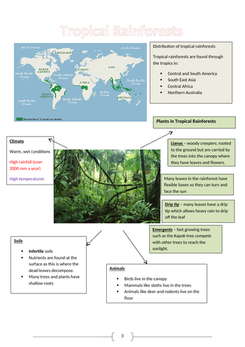 Tropical Rainforests Revision Booklet New Aqa Gcse Geography 9 1 Teaching Resources 7708