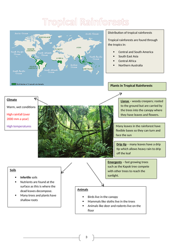 Tropical Rainforests Revision Booklet New AQA GCSE Geography 9-1
