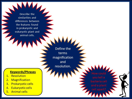 Cell Microscopy - Magnification And Resolution Activities