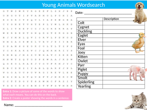 Young Baby Animals Wordsearch Sheet Starter Activity Keywords Cover Nature