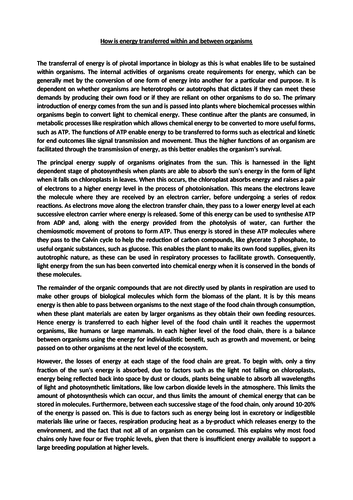 essay on importance of biology