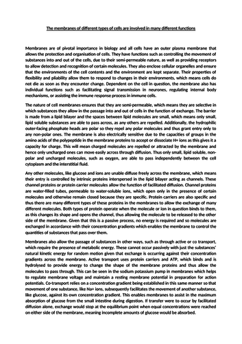 a level biology essay importance of microorganisms