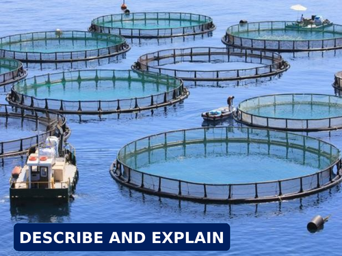 Overfishing and the impacts of Aquaculture