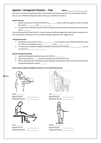 Antagonistic muscles