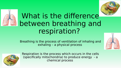 aerobic-respiration-activate-ks3-teaching-resources