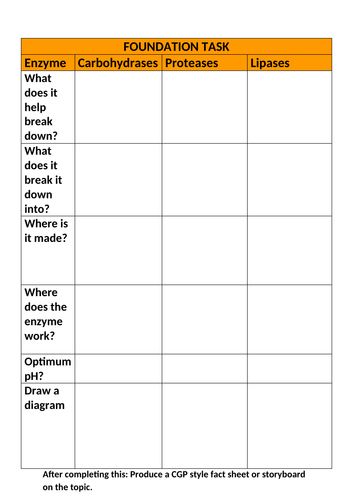 GCSE Biology Digestive Enzymes | Teaching Resources