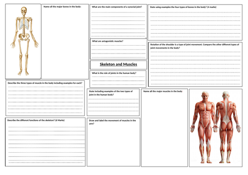 AQA GCSE PE Revision Learning Maps