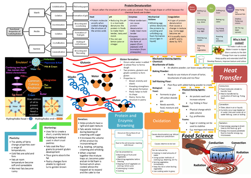 Revision Summary Sheet: Food Science | Teaching Resources