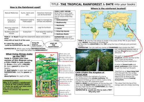 What is the TRF?- Independent worksheet. Ideal for assessing independent learning ability.