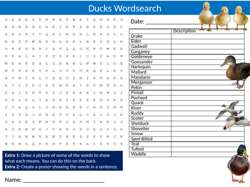 Ducks Wordsearch Sheet Starter Activity Keywords Animals Birds Nature