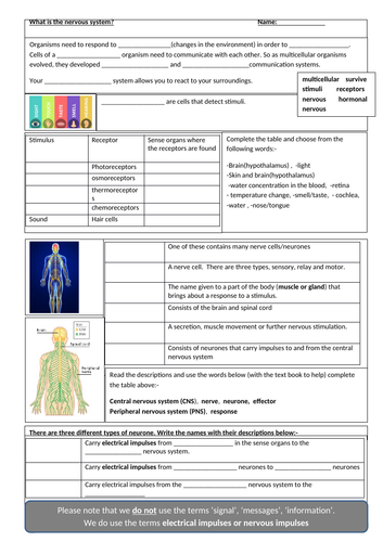 Nervous system, the brain and eye:-AQA GCSE Biology Revision Sheets on Nervous system, Brain and Eye