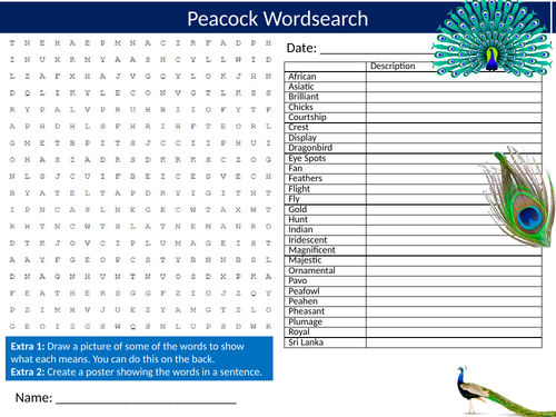 Peacocks Wordsearch Sheet Starter Activity Keywords Cover Animals Birds Nature