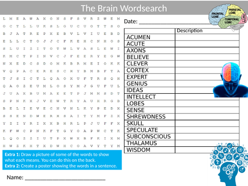 3 x The Brain Wordsearch Sheets Starter Activity Keywords Cover Science Biology