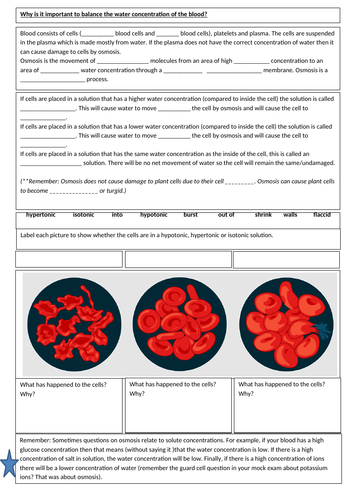 Topic 5 Kidney - Revision sheets on The Kidney and Osmoregulation AQA GCSE Biology 9-1