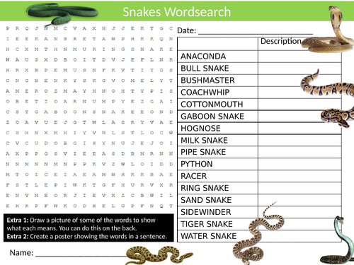 Snakes #2 Wordsearch Sheet Starter Activity Keywords Cover Animals Reptiles