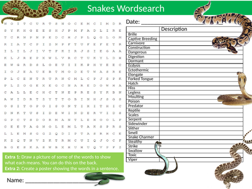 2 x Snakes Wordsearch Sheet Starter Activity Keywords Cover Animals Reptiles